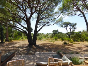 Calitu : vue d'ensemble sur le jardin